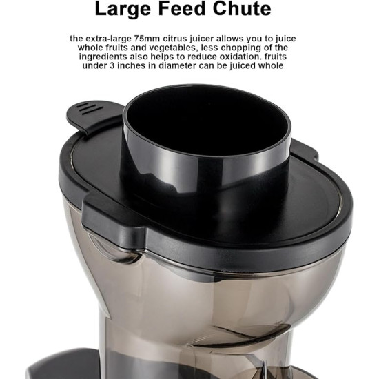 150W Professional Slow Juicer