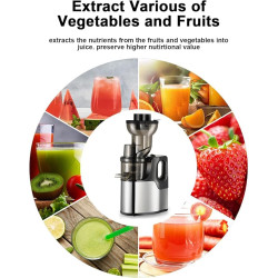Make Fresh, Healthy Juice at Home – Cold Press Slow Juicer with Large Feed Chute