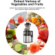 150W Professional Slow Juicer
