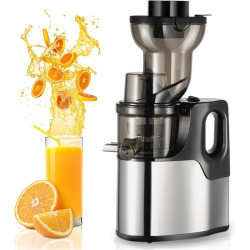 Professional Juicer