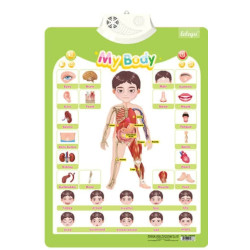 Interactive Learning Charts - ABC, Animals, Fruits, Vegetables, My Body and Numbers. Interactive Learning Charts - ABC, Animals, Fruits, Vegetables, My Body and Numbers.