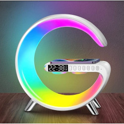 Multi-functional Wireless Charger Multi-functional Wireless Charger