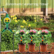 Automatic Watering Timer Automatic Watering Timer