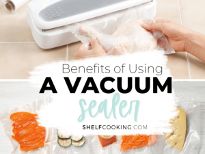 Why Every Modern Kitchen Needs a Food Vacuum Sealer: Save Money, Time & Freshness