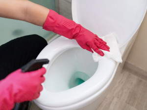 Lifestyle & Home Tips: The Easy Way to Keep Your Toilet Fresh in Trinidad & Tobago