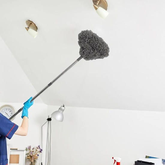 Ceiling Duster Ceiling Duster
