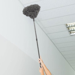 Ceiling Duster Ceiling Duster
