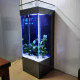 Fish tank Aquarium Fish tank Aquarium