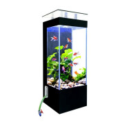 Fish tank Aquarium Fish tank Aquarium