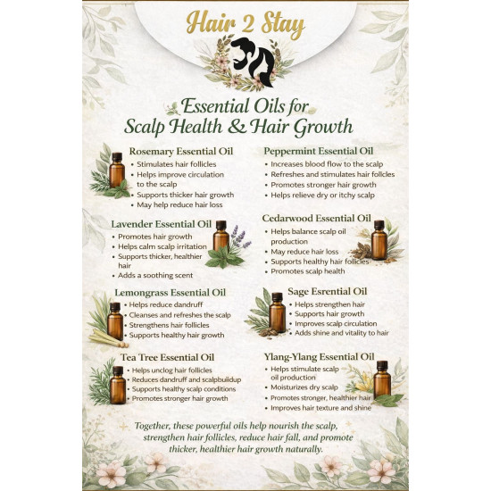 Essential Oil Hair Oils For Scalp Health and Hair Growth By HAIR 2 Stay 