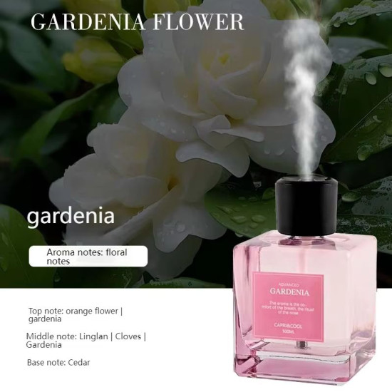 Luxury Air Freshener Aroma Diffuser Mist Humidifier for Home & Office
