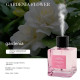Luxury Air Freshener Aroma Diffuser Mist Humidifier for Home & Office