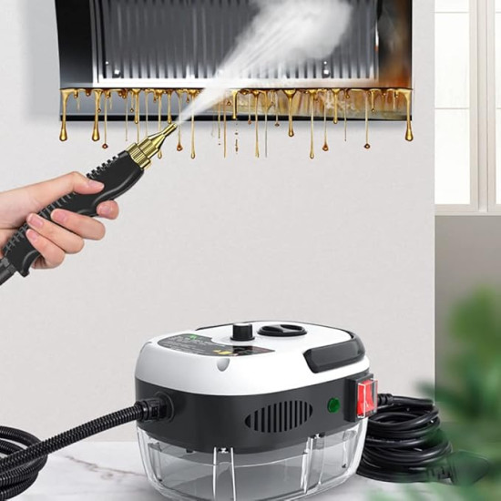 Portable Steam Cleaner
