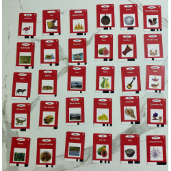 Talking Flash Cards for Toddlers