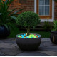 50pcs Colourful Glowing Pebbles 